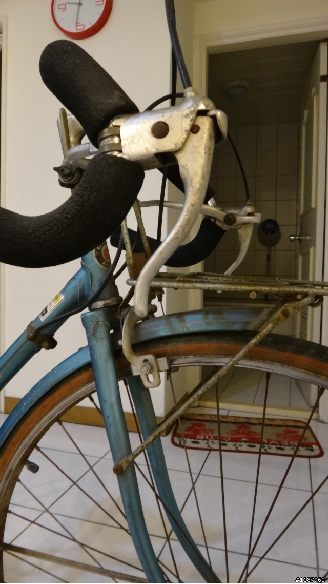 幫忙鑑定這台老車 GIANT GEMINI ?