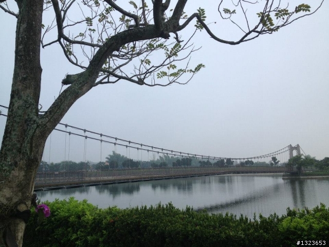 1020506 清晨的虎頭埤