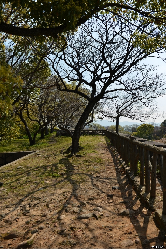 2013日本京阪神之旅