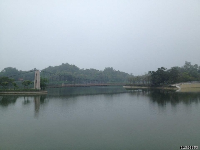 1020506 清晨的虎頭埤