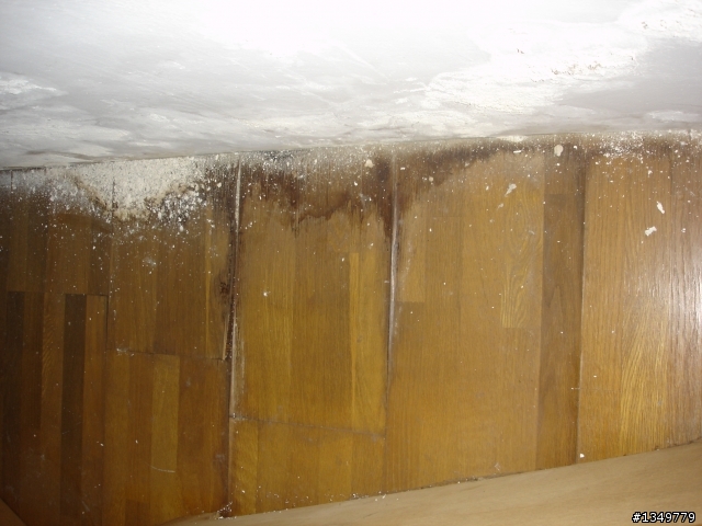 這樣如何抓漏(已放上現場照片)