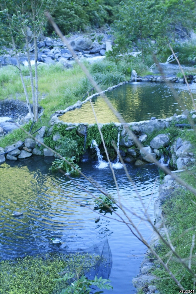 尖石私房景點--暫時園