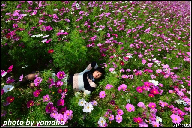 我的D600+SB900