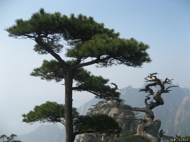 年行萬里 ~ D11 山清水清淨人心,峰高松奇廣見聞玉山縣-三清山 南清園景區-陽光海岸步道-三清福地景區-西海岸步道