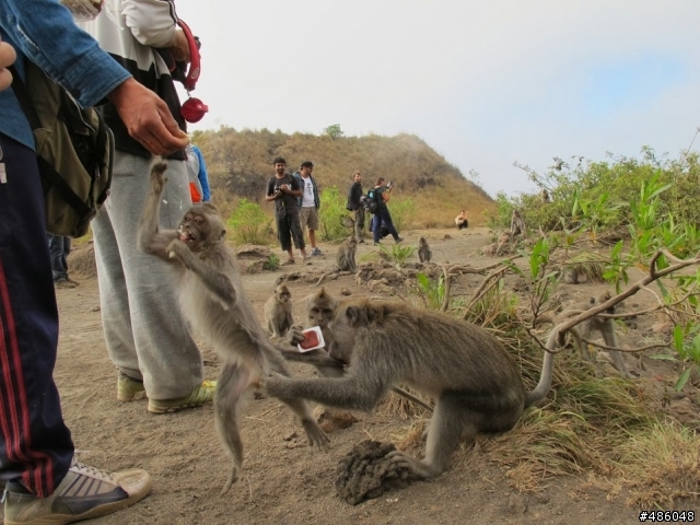 峇里島紀行-08【Mt. Batur 巴杜爾火山-日出】