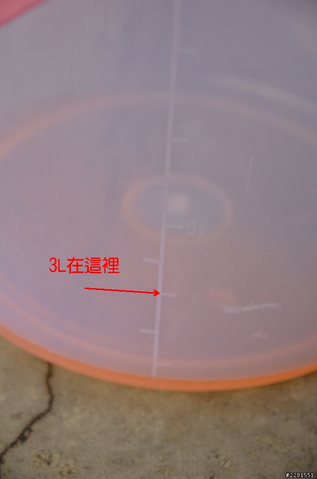 MAROLEX PLUS 2000手持泡沫噴槍開箱文