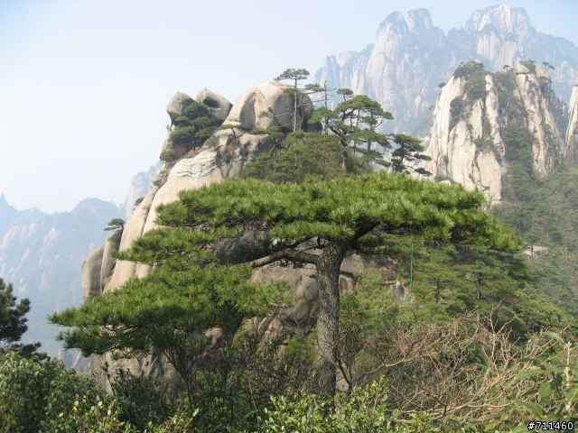 年行萬里 ~ D11 山清水清淨人心,峰高松奇廣見聞玉山縣-三清山 南清園景區-陽光海岸步道-三清福地景區-西海岸步道