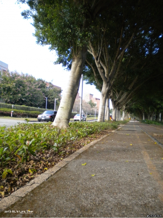 環島 -【單身男一個人15天反6字型環島之旅+台灣六極點 Day 13】
