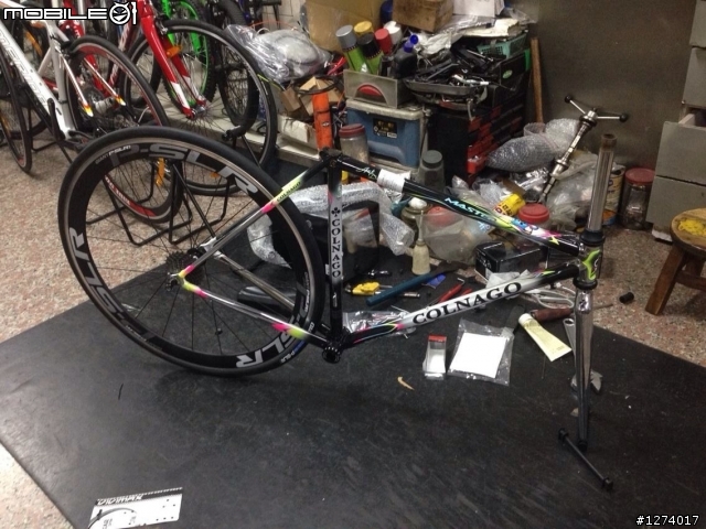 我的新駒:Colnago Master 鋼管公路車