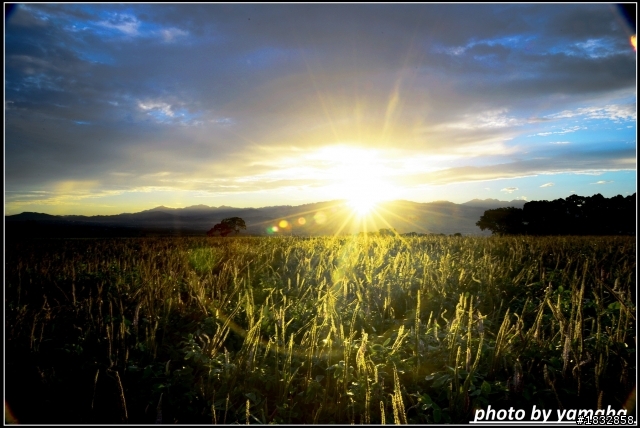 我的D600+SB900