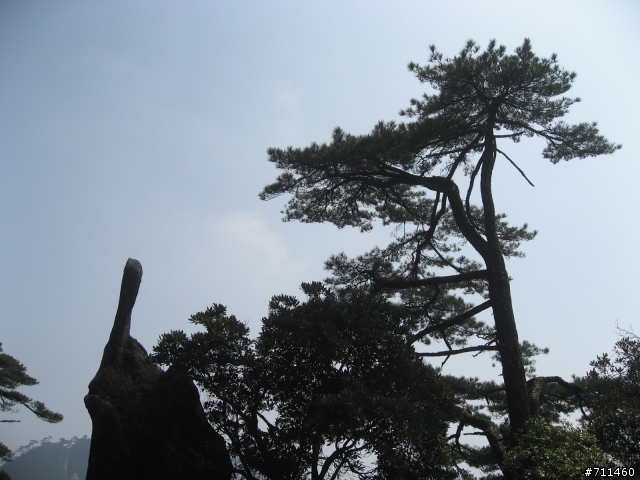 年行萬里 ~ D11 山清水清淨人心,峰高松奇廣見聞玉山縣-三清山 南清園景區-陽光海岸步道-三清福地景區-西海岸步道