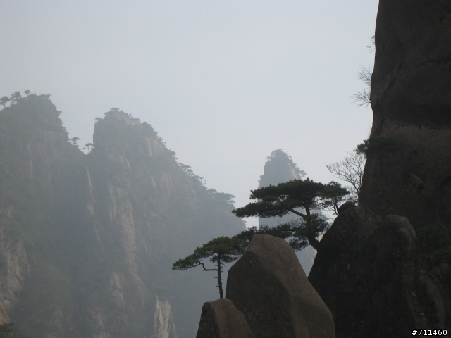 年行萬里 ~ D11 山清水清淨人心,峰高松奇廣見聞玉山縣-三清山 南清園景區-陽光海岸步道-三清福地景區-西海岸步道