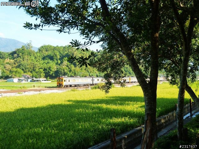 縱谷三日漫遊慢慢騎(2)