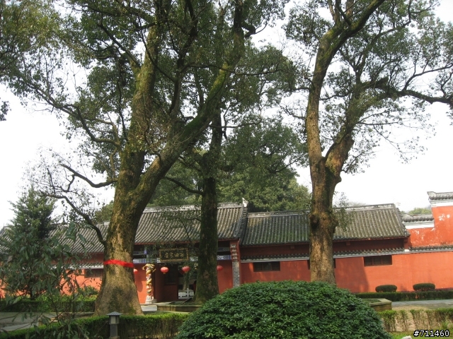 年行萬里 D10 遍尋不著的歳月,帶走少女的青春,留下空盪的寺廟 鷹潭龍虎山-仙人城-上清古鎮-天師府-鷹潭-上饒玉山縣
