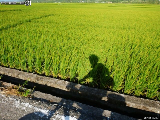 縱谷三日漫遊慢慢騎(1)
