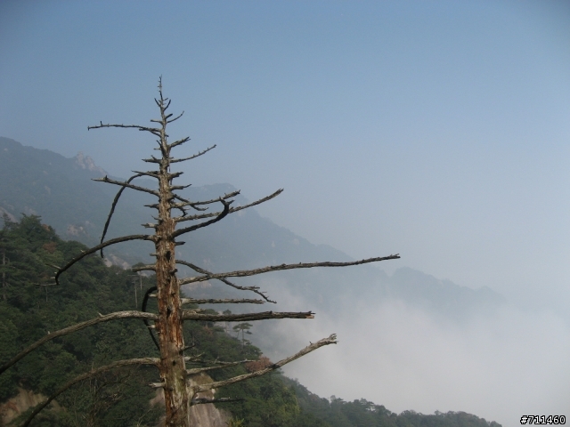 年行萬里 ~ D11 山清水清淨人心,峰高松奇廣見聞玉山縣-三清山 南清園景區-陽光海岸步道-三清福地景區-西海岸步道