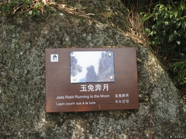 年行萬里 ~ D11 山清水清淨人心,峰高松奇廣見聞玉山縣-三清山 南清園景區-陽光海岸步道-三清福地景區-西海岸步道