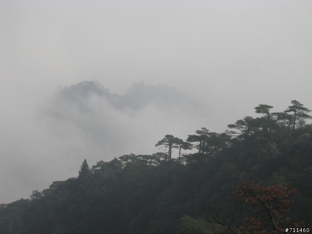 年行萬里 ~ D11 山清水清淨人心,峰高松奇廣見聞玉山縣-三清山 南清園景區-陽光海岸步道-三清福地景區-西海岸步道