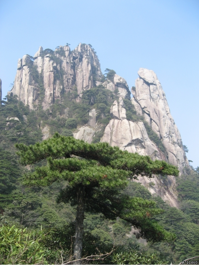 年行萬里 ~ D11 山清水清淨人心,峰高松奇廣見聞玉山縣-三清山 南清園景區-陽光海岸步道-三清福地景區-西海岸步道