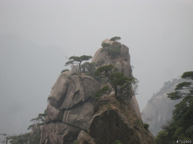 年行萬里 ~ D11 山清水清淨人心,峰高松奇廣見聞玉山縣-三清山 南清園景區-陽光海岸步道-三清福地景區-西海岸步道