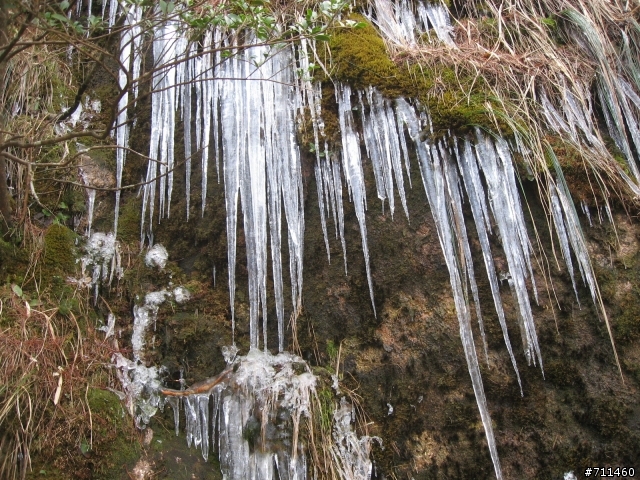 年行萬里 ~ D11 山清水清淨人心,峰高松奇廣見聞玉山縣-三清山 南清園景區-陽光海岸步道-三清福地景區-西海岸步道