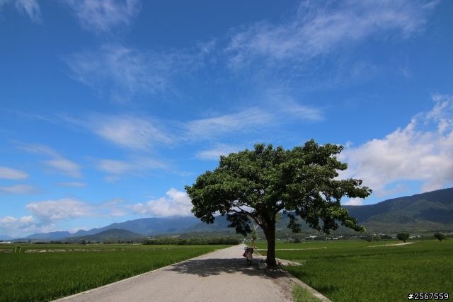 歐巴桑熱血環島之旅-Day3