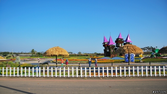 冬戀 . 魔法彩虹 * 2013 新社花海 & 台中國際花毯節 (  文末 11 / 17 花況八成 )