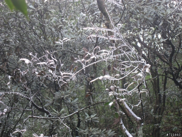 年行萬里 ~ D11 山清水清淨人心,峰高松奇廣見聞玉山縣-三清山 南清園景區-陽光海岸步道-三清福地景區-西海岸步道