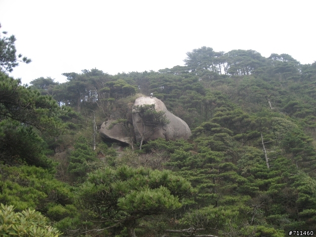 年行萬里 ~ D11 山清水清淨人心,峰高松奇廣見聞玉山縣-三清山 南清園景區-陽光海岸步道-三清福地景區-西海岸步道