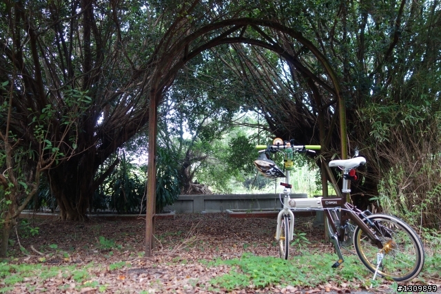 2013 雲林郵局在古坑,單車輕鬆騎,