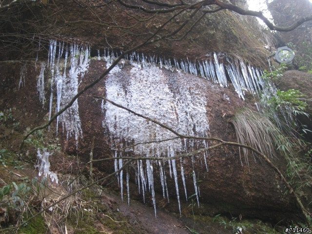 年行萬里 ~ D11 山清水清淨人心,峰高松奇廣見聞玉山縣-三清山 南清園景區-陽光海岸步道-三清福地景區-西海岸步道