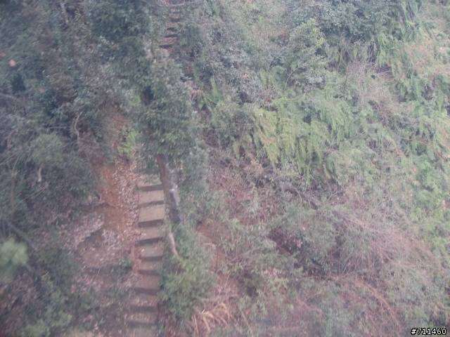 年行萬里 ~ D11 山清水清淨人心,峰高松奇廣見聞玉山縣-三清山 南清園景區-陽光海岸步道-三清福地景區-西海岸步道