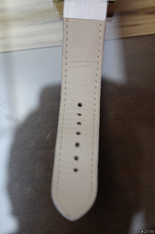 Martian Watches 試用