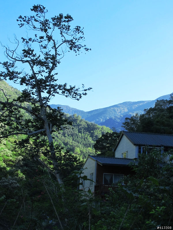 尖石私房景點--暫時園