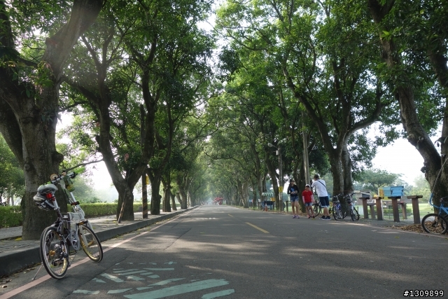 2013 雲林郵局在古坑,單車輕鬆騎,