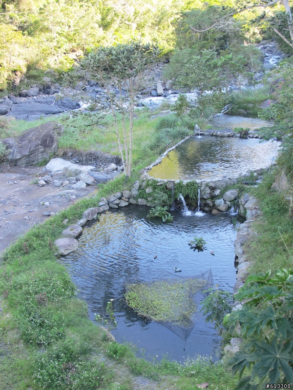 尖石私房景點--暫時園