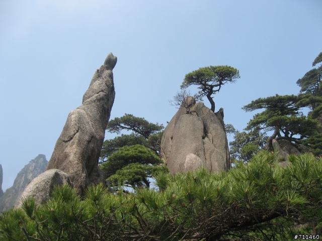 年行萬里 ~ D11 山清水清淨人心,峰高松奇廣見聞玉山縣-三清山 南清園景區-陽光海岸步道-三清福地景區-西海岸步道