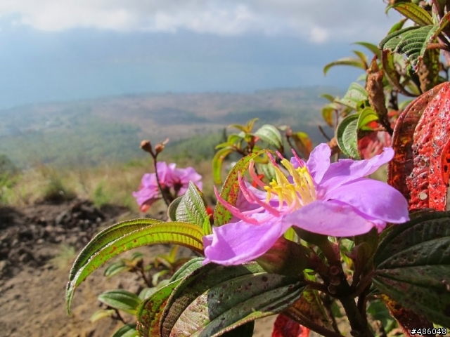 峇里島紀行-08【Mt. Batur 巴杜爾火山-日出】