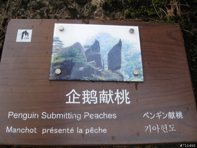 年行萬里 ~ D11 山清水清淨人心,峰高松奇廣見聞玉山縣-三清山 南清園景區-陽光海岸步道-三清福地景區-西海岸步道