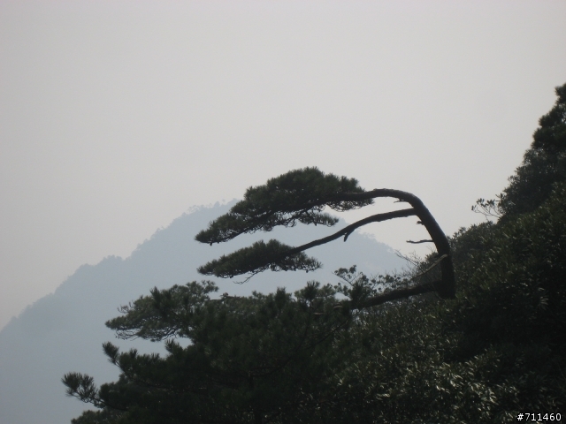 年行萬里 ~ D11 山清水清淨人心,峰高松奇廣見聞玉山縣-三清山 南清園景區-陽光海岸步道-三清福地景區-西海岸步道