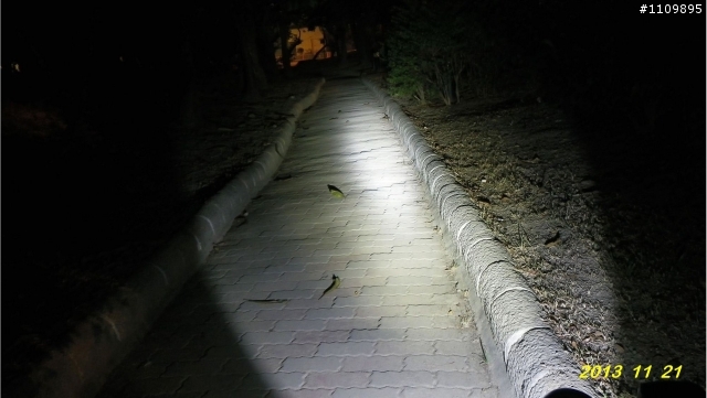 阿哈的Baoch F3手電筒