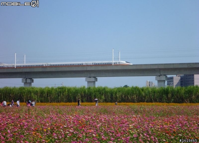 2013臺南市新市區「花現台南新市界」單車活動
