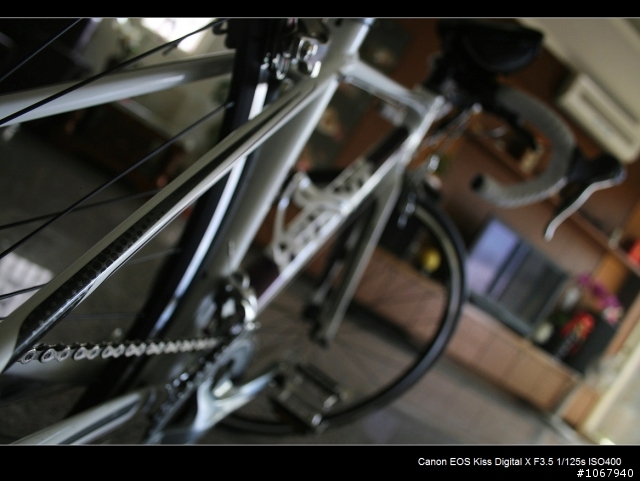 偽裝pinarello 加映老婆的AVAIL