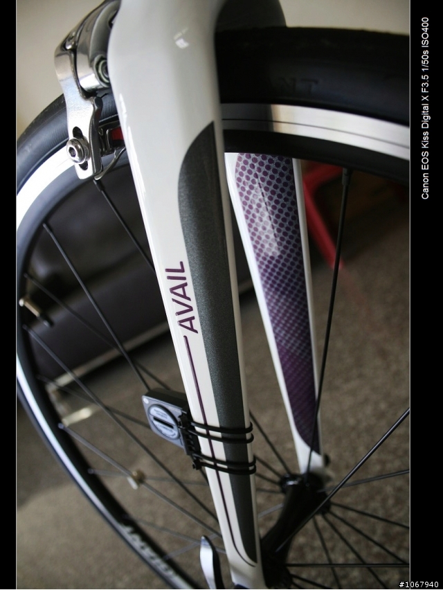 偽裝pinarello 加映老婆的AVAIL