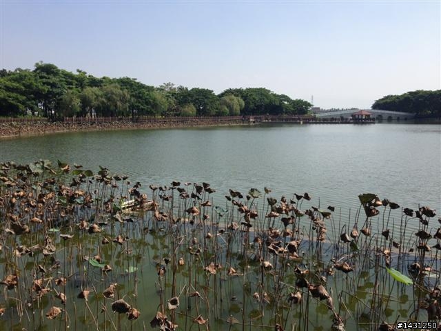 2013/10/25~11/1 一人半之8天7夜 半規劃環島