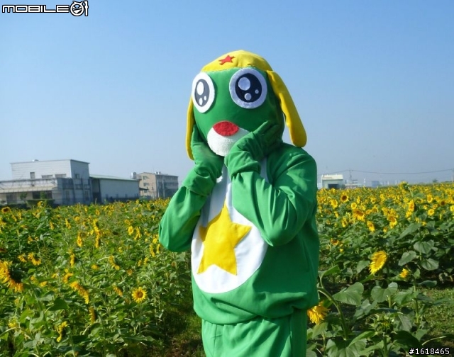 2013臺南市新市區「花現台南新市界」單車活動