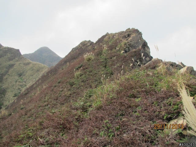 20131129 劍龍陵單攻