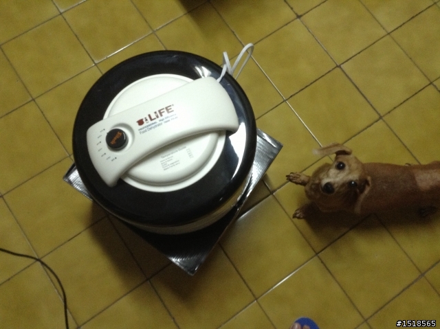 自製我家臭妹的零食