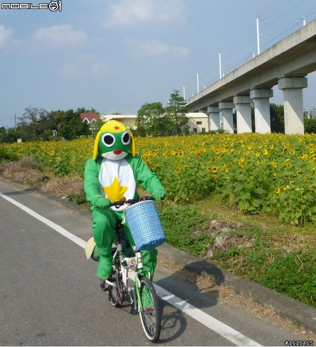 2013臺南市新市區「花現台南新市界」單車活動