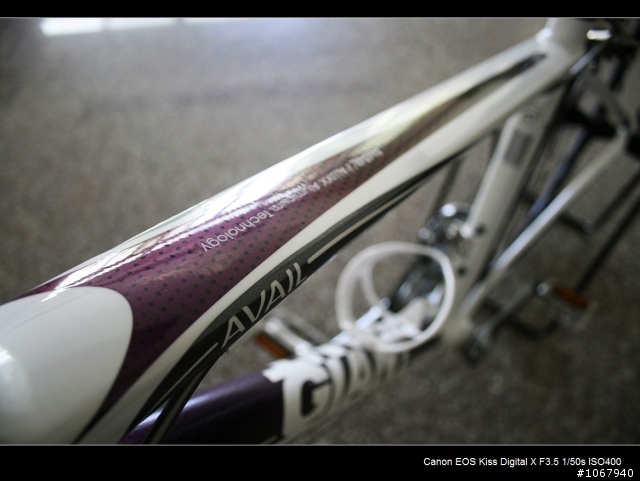 偽裝pinarello 加映老婆的AVAIL